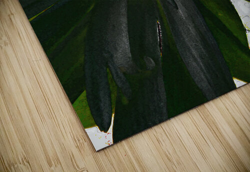 Abstract Dark Daisy  Catriona Roberts Nature Photography and Designs puzzle