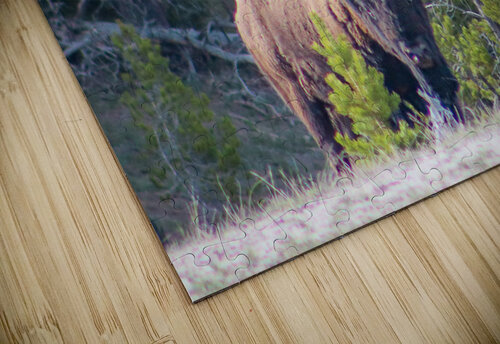 Edge Of The Forest Susan Diann Photography puzzle