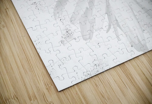 Abstract White Minimalist Daisy Catriona Roberts Nature Photography and Designs puzzle