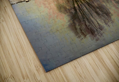 A Vision in Lake Ontario Thea Menagh puzzle