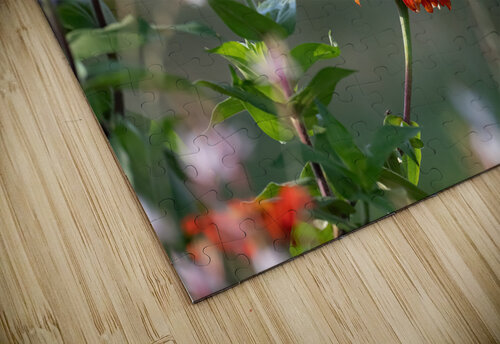 Hummingbird  Wild TS designs puzzle