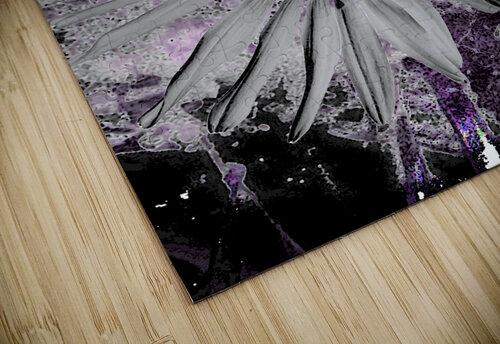 Abstract Dark Daisy Flower Catriona Roberts Nature Photography and Designs puzzle