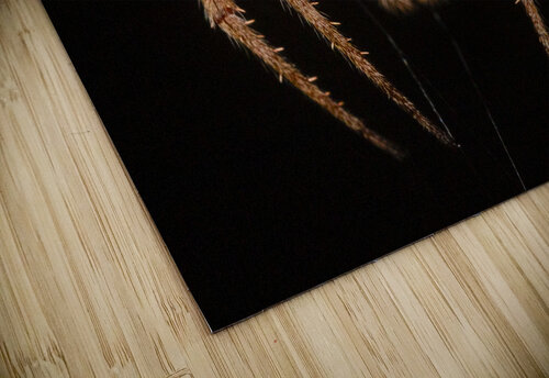 The Nocturnal Architect Visual Voyages Fine Art puzzle