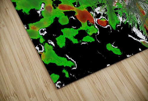 Abstract Vivid Red and Green Dandelion Corner Catriona Roberts Nature Photography and Designs puzzle