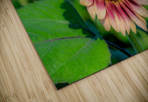 Dreamy ProCut Plum Sunflower JLW Photos puzzle