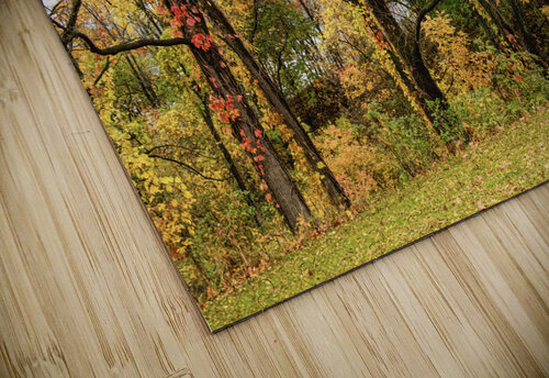 Along the Niagara River Thea Menagh puzzle