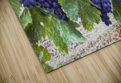 Grapes on the Vine Thea Menagh puzzle