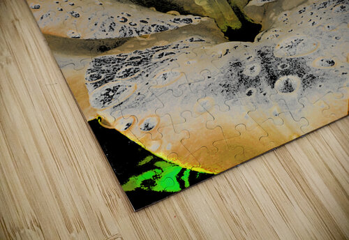 Abstract Contrasting Lily Flower Catriona Roberts Nature Photography and Designs puzzle