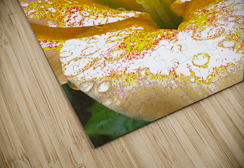 Abstract Vibrant Dew Drop Lily Flower Catriona Roberts Nature Photography and Designs puzzle