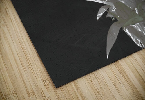 Abstract Green Lily Flower Bouquet Catriona Roberts Nature Photography and Designs puzzle