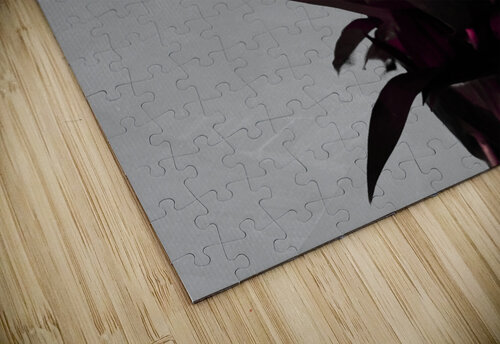 Abstract White Lilies on a Muted Background Catriona Roberts Nature Photography and Designs puzzle