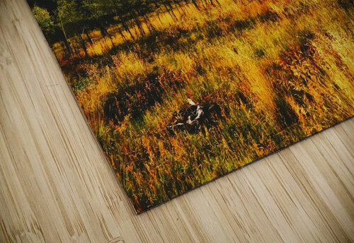 The Wicked Wood Ell Cee puzzle