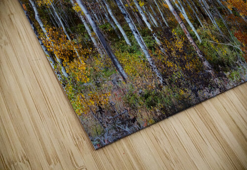 Mix It Up Bo Insogna puzzle