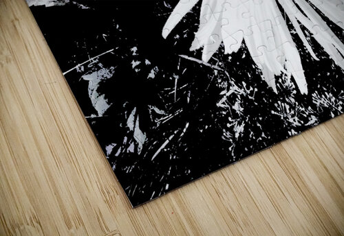 Abstract Black and White Daisy Catriona Roberts Nature Photography and Designs puzzle