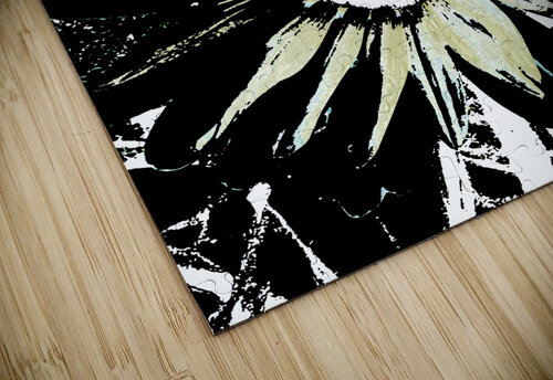 Abstract Black and White Daisy Flower Catriona Roberts Nature Photography and Designs puzzle