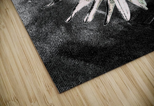 Abstract Single Daisy Catriona Roberts Nature Photography and Designs puzzle