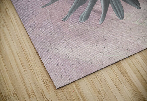 Abstract Pink and Grey Daisy Catriona Roberts Nature Photography and Designs puzzle