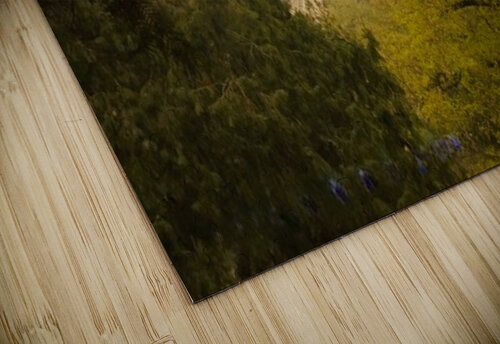 chinasr Mystic Muse puzzle