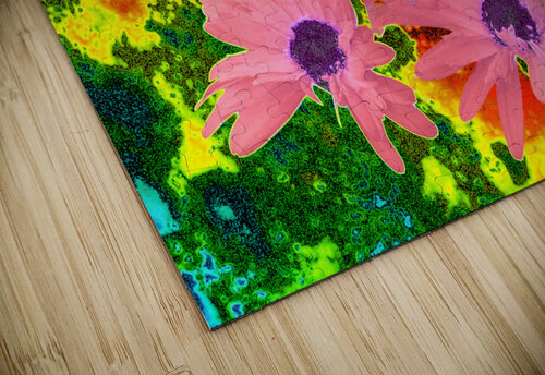 Abstract  Striking Daisy Flowers Catriona Roberts Nature Photography and Designs puzzle