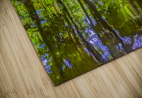 Costa Rica Mangrove Forest Norma Brandsberg Photography puzzle