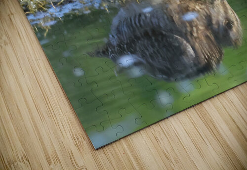 Wilsons Snipe 2 Steve Gass puzzle