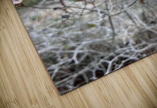 Resilience in Bloom A Pink Flower on Withered Branches Miyudesigner puzzle