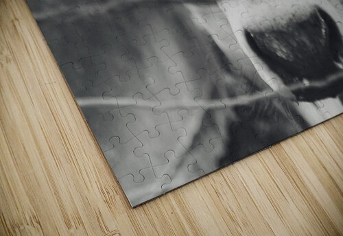 Rustic Elegance Preiss Photography puzzle