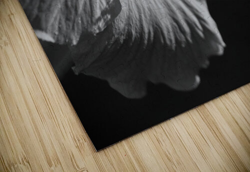 Monochrome Floral Preiss Photography puzzle
