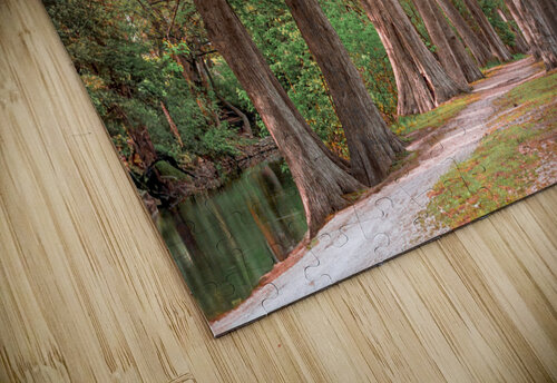 Cypress Path Preiss Photography puzzle