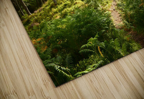 Lush Nature in the Scottish Highlands Catriona Roberts Nature Photography and Designs puzzle