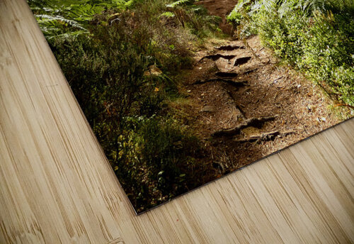 Sunlight on the Path in the Scottish Highlands Catriona Roberts Nature Photography and Designs puzzle