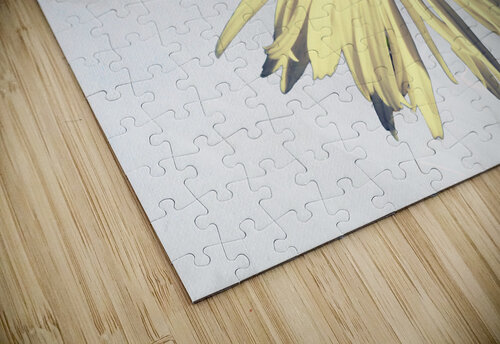 Abstract Calming Daisy Flower Catriona Roberts Nature Photography and Designs puzzle