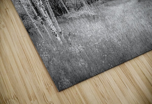Snowmass Aspen Splendor 1 Norma Brandsberg Photography puzzle