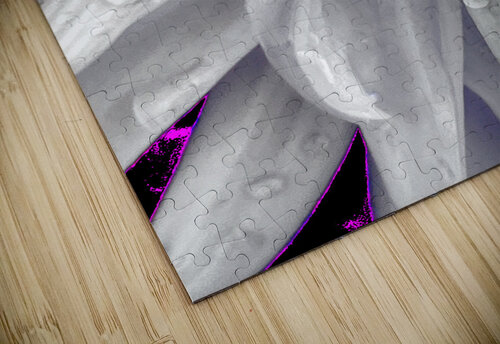 Abstract Daisy Blue Light Catriona Roberts Nature Photography and Designs puzzle