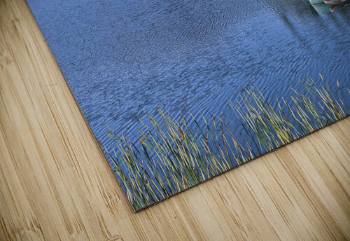 The Lake Susan Diann Photography puzzle