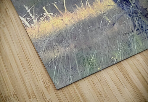 Magpie Susan Diann Photography puzzle