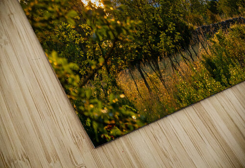 Sunrise in Nerezine on the island of Losinj in the Adriatic Sea Croatia caladoart puzzle