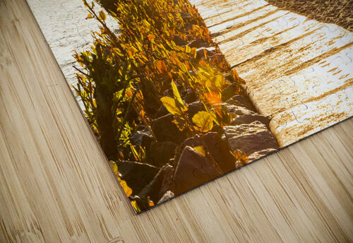 Beautiful golden sunset at the beach of the Elbe River in Hamburg  caladoart puzzle