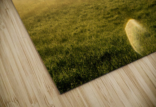 Beautiful sunrise in rural landscape with sun rays shining through the morning fog  caladoart puzzle