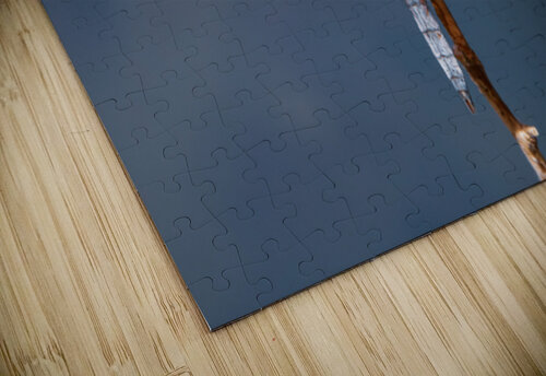 Widow Skimmer Dragonfly - Wings Like Stained Glass Chad Meyer puzzle