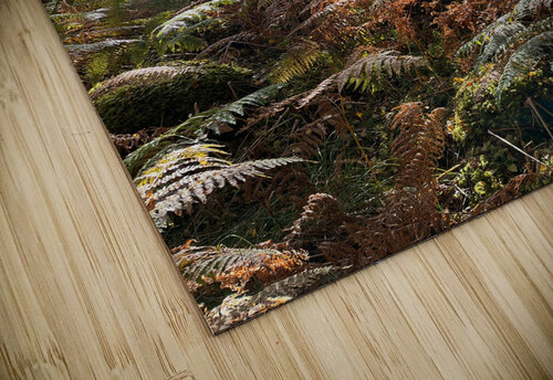 Autumnal Sunlight to the Forest Floor Catriona Roberts Nature Photography and Designs puzzle