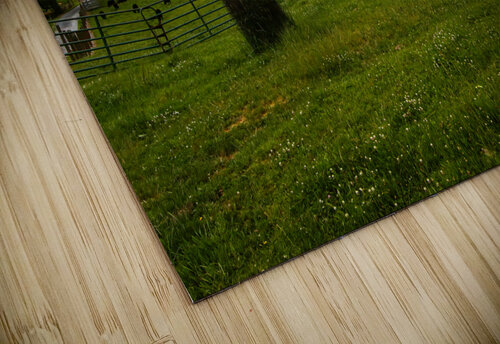 Homestead Resort Virginia Farm 1 Norma Brandsberg Photography puzzle