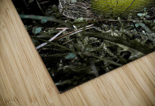 Fallen Tomatillo Christine Loertscher puzzle