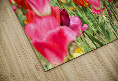 Tulip Dreamscape Savi Photos LLC puzzle