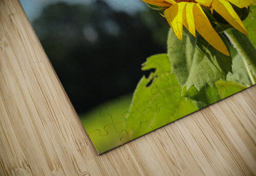7B1793E9 D3E2 4C90 B992 E19E216B249B Savi Photos LLC puzzle
