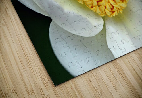 Classic White Peony Deb Oppermann puzzle