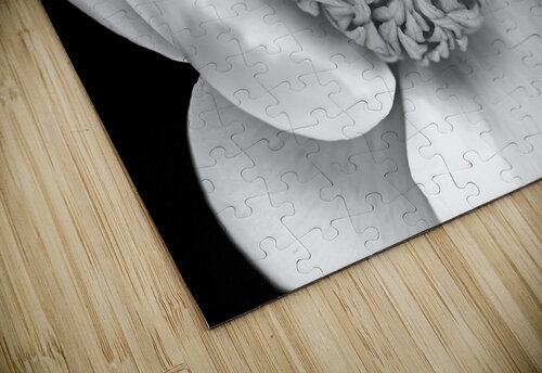 Classic White Peony Black And White Deb Oppermann puzzle