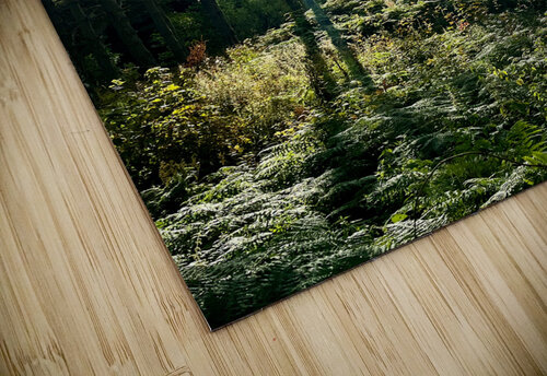 Scottish Highlands Landscape Catriona Roberts Nature Photography and Designs puzzle