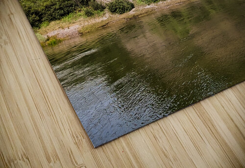 Big Rock by the Sea Toozastro puzzle