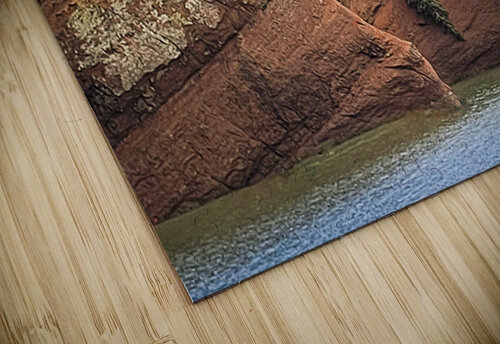 Fundy Bay caves Toozastro puzzle
